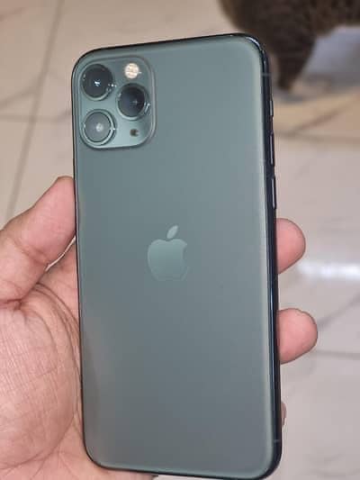 pTA 11 pro