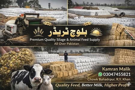 بلوچ ٹریڈر