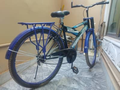Mountain bike cycle