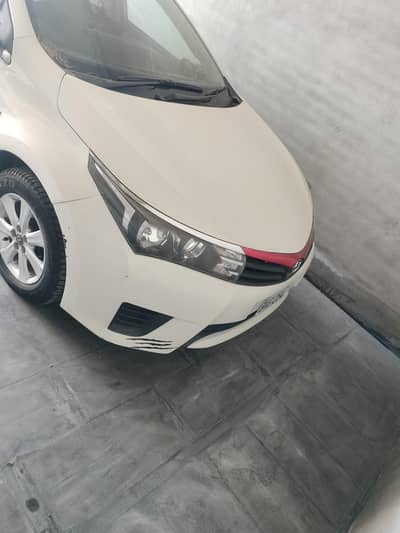 Gli 2015 manul