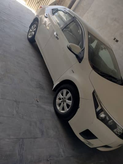 Gli 2015 manul