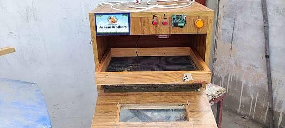 30 eggs incubator