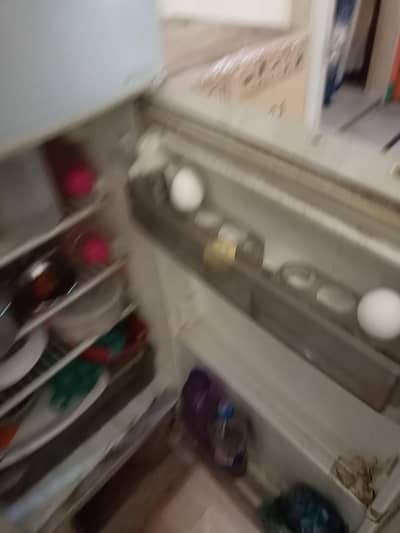 freezer & refrigerator