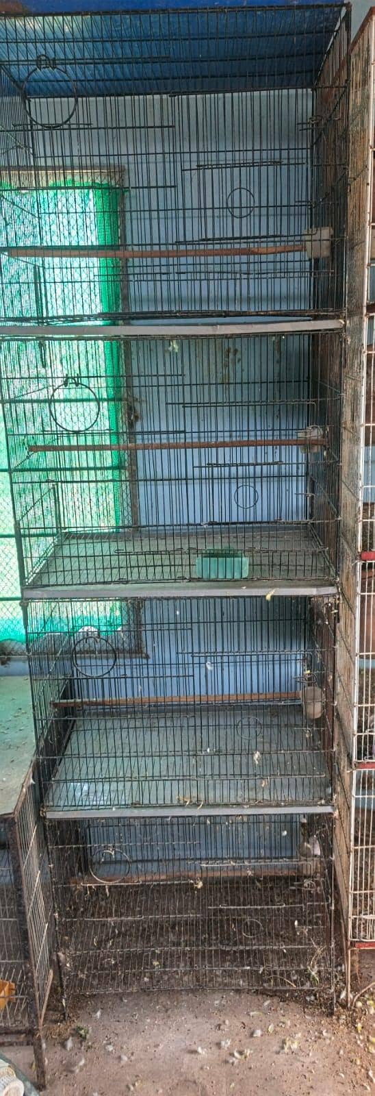 Bird Cage 0