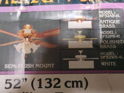 Fancy ceiling fans/ ceiling fans