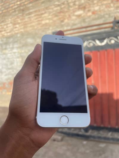 Iphone 7 non pta all ok
