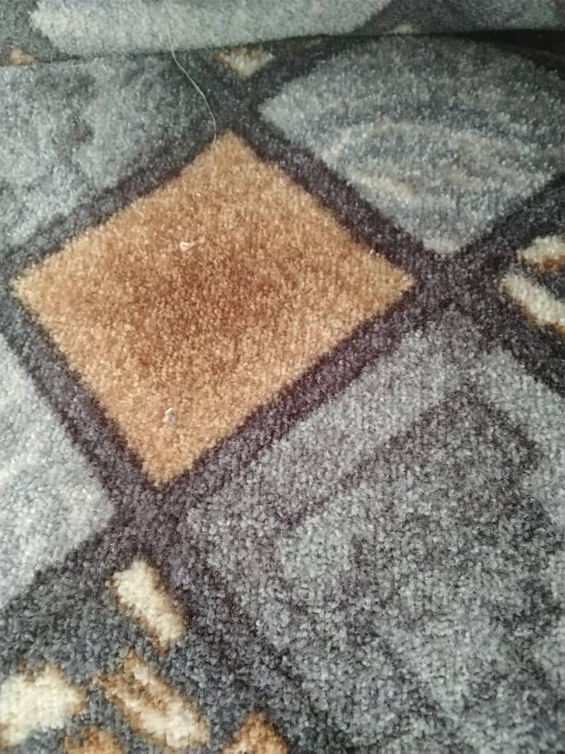 carpet 0