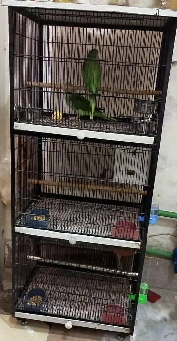 Parrot Cage Pinjara