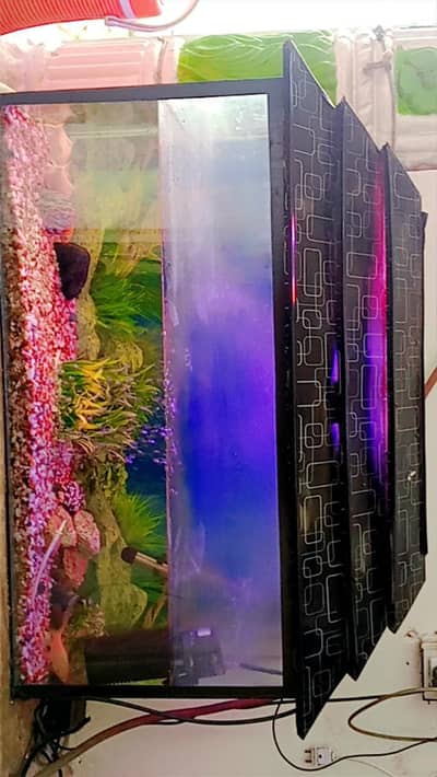 aquarium sale with fish and complete setup