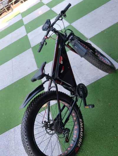 10 by 10 electric bicycle