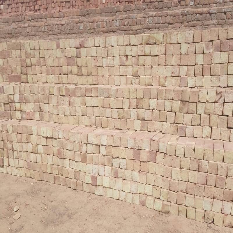 bricks for lahore 3