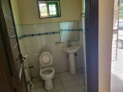 17 Marla House In Only Rs. 56000000