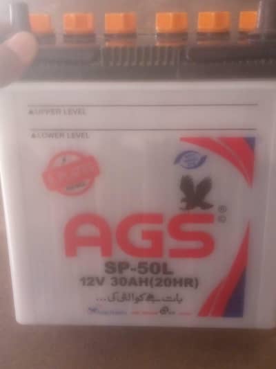 AGS 50 AMP battery with simtek charger