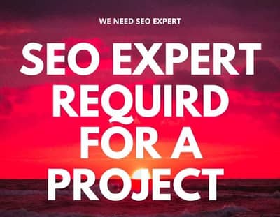 SEO Expert Required