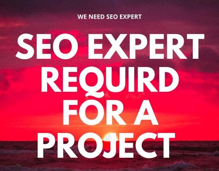 SEO Expert Required 0