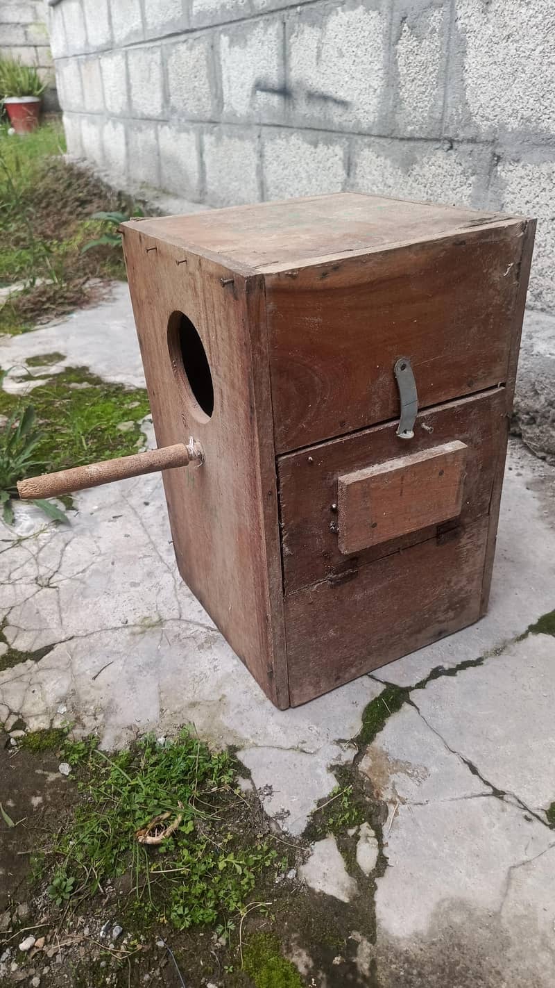 Breeding Box 5