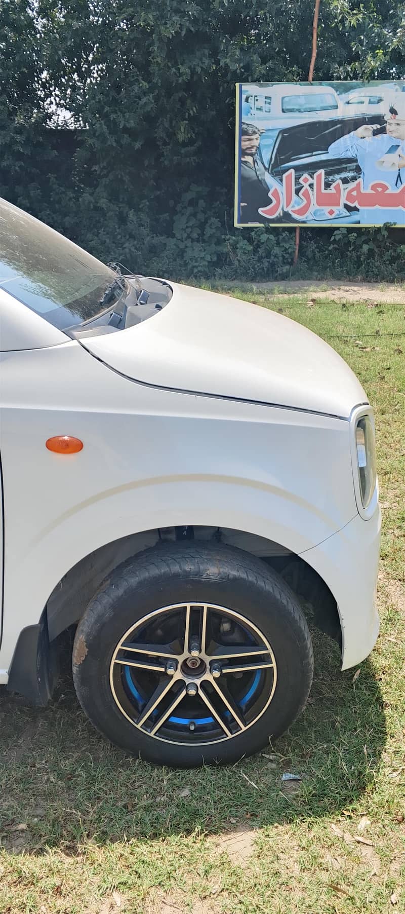Total Genuine 14