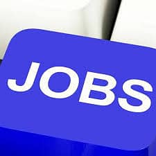Professional Plumber Wanted