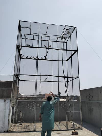 cage sale