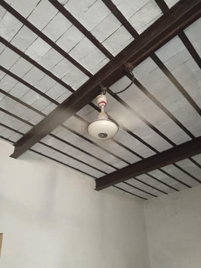 Fan | Panka | 220 Volt