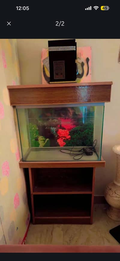 Fish aquarium
