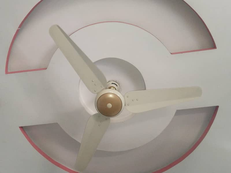 ceiling fans 0