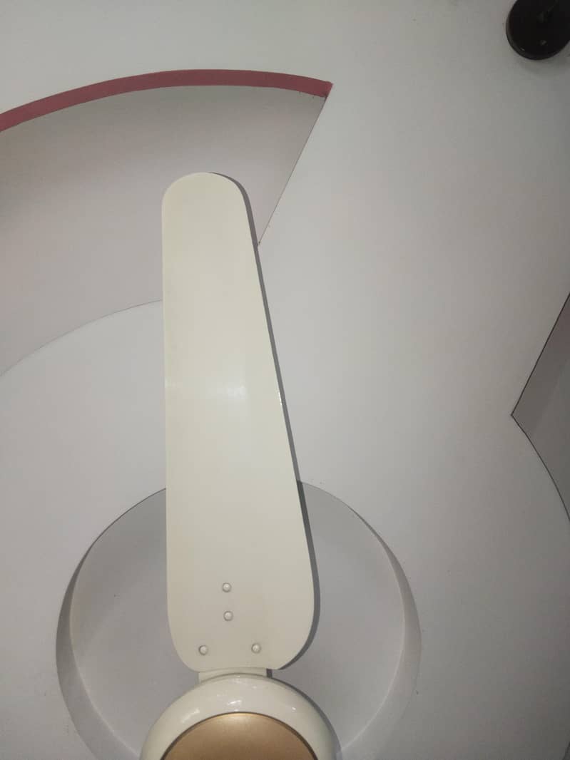ceiling fans 1