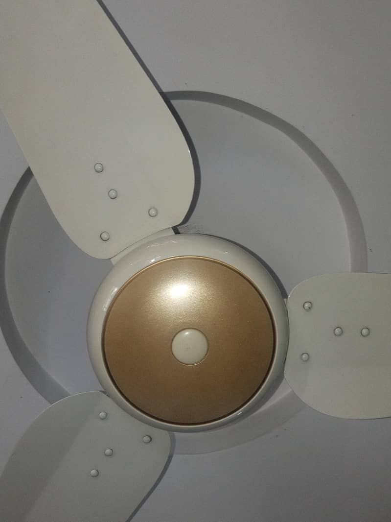 ceiling fans 2