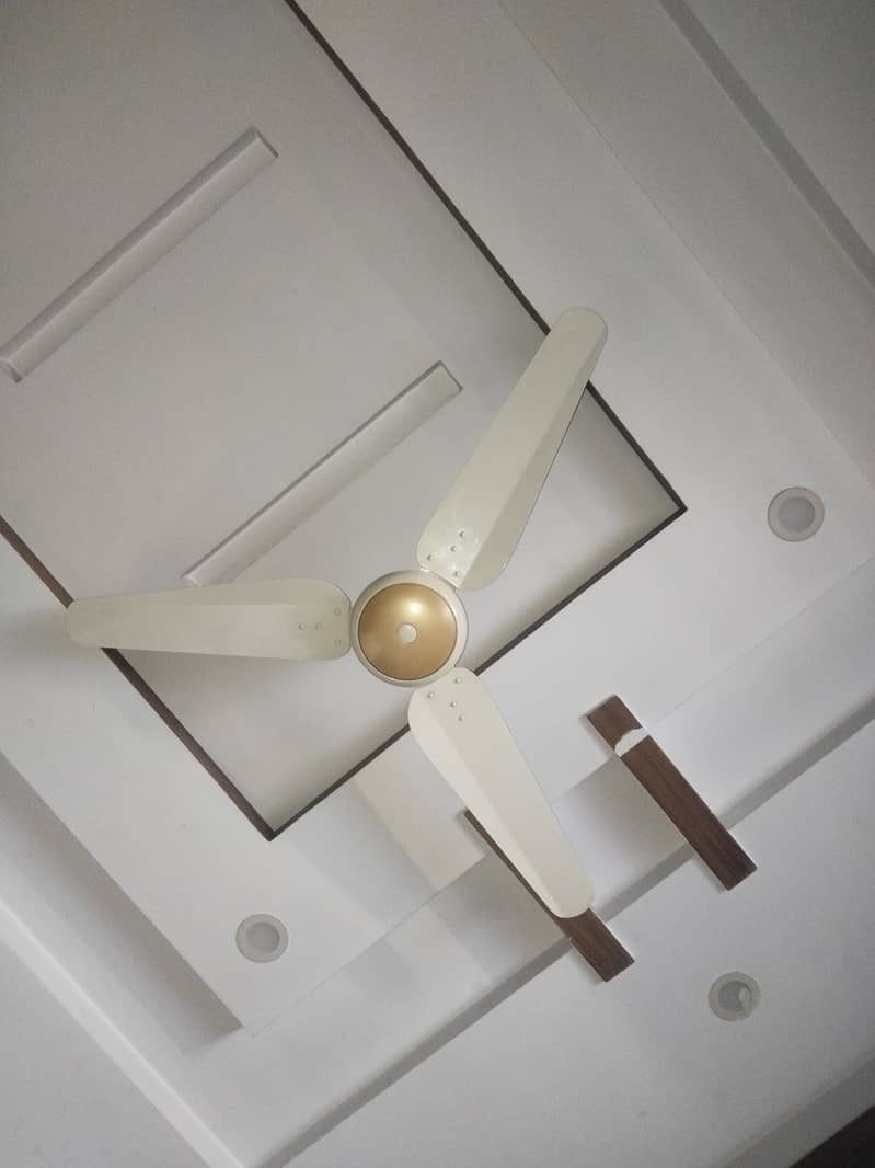 ceiling fans 3