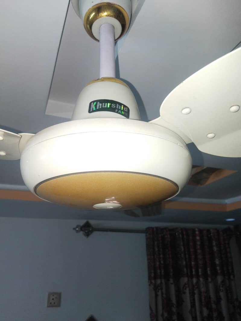 ceiling fans 4