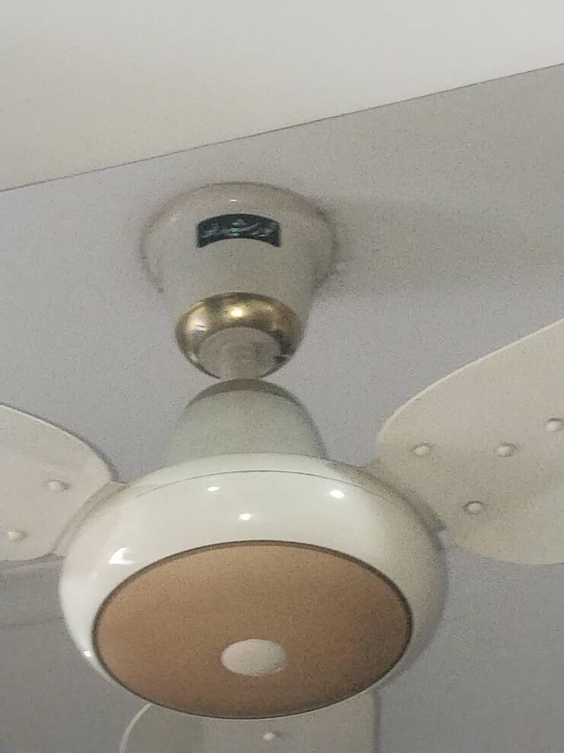 ceiling fans 5