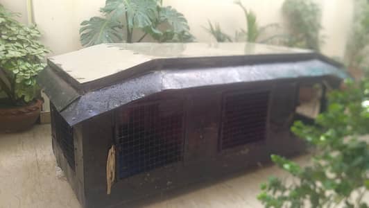 Birds Cage for Sale