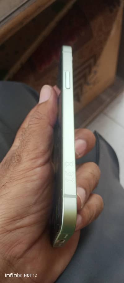 apple 12 pta approved