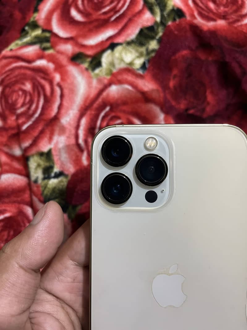 Iphone 13 pro max 1