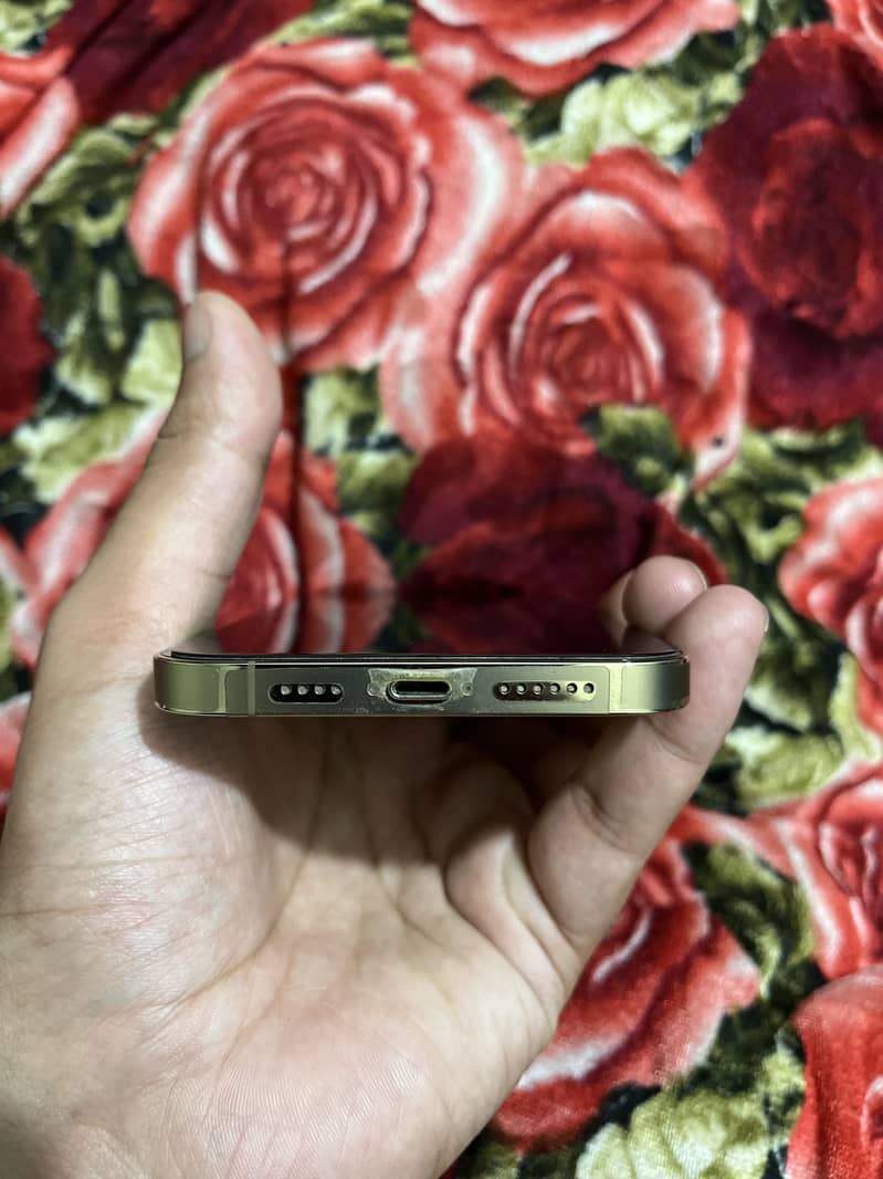 Iphone 13 pro max 3