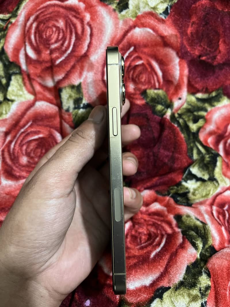 Iphone 13 pro max 4