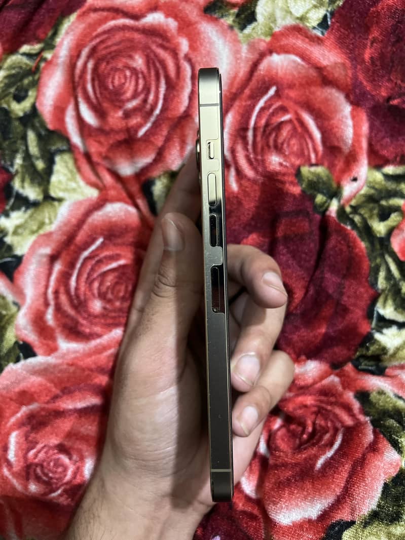 Iphone 13 pro max 5