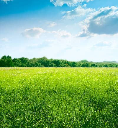 Agricultural land 10 kanals near to Airport, best for farm House