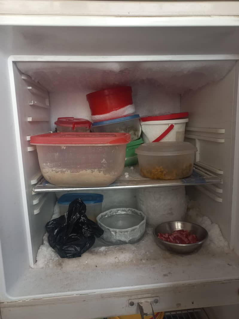 orient Fridge 5