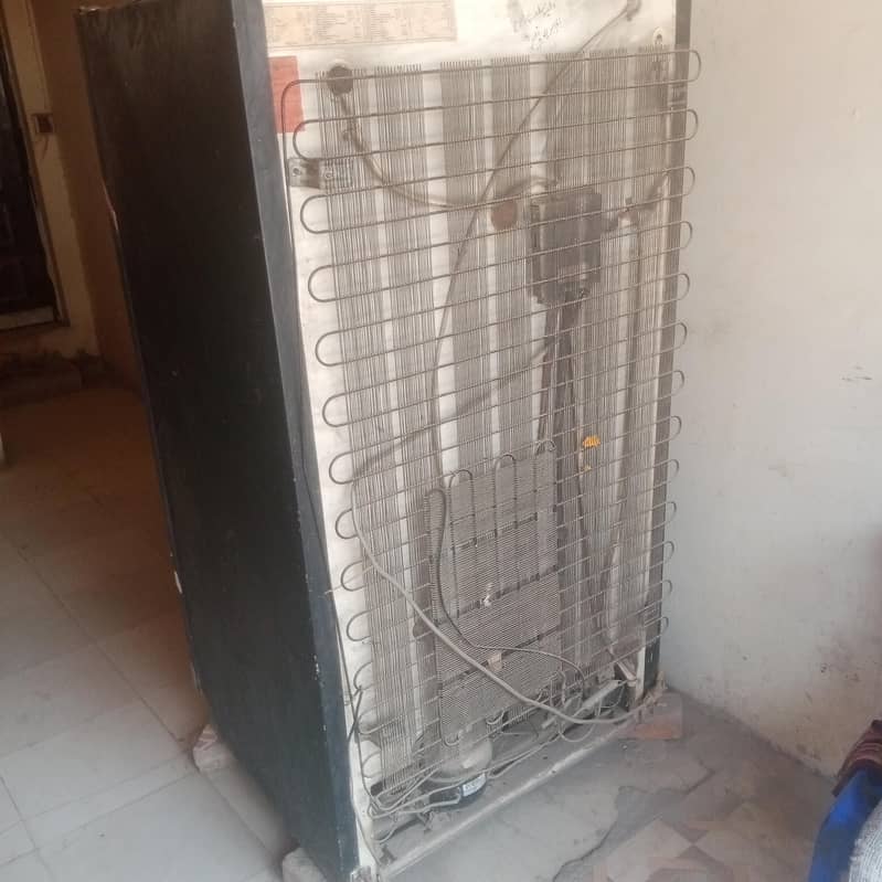 fridge 3