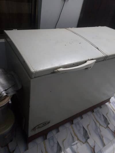 Waves Deep Freezer - for Sale (Working Condition)