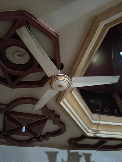 LUSH CONDITION CEILING FANS