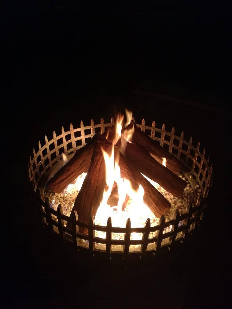 Eagle fireplace 9