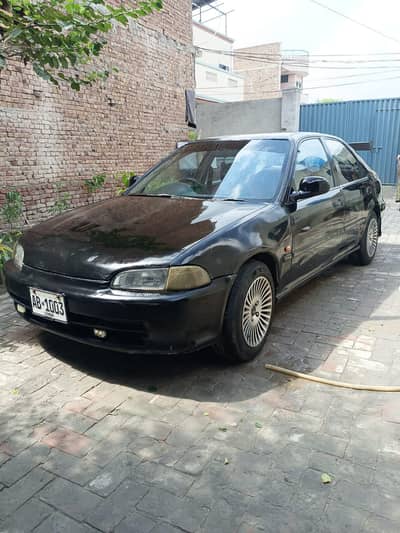 civic dolphin 1994