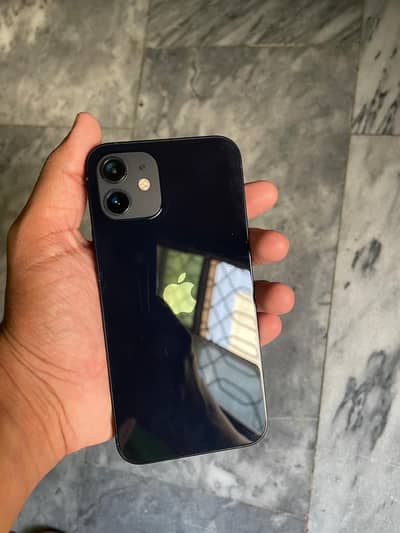 Iphone 12  lush condition