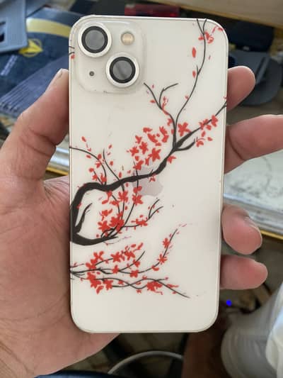 Iphone 13 non pta waterpack