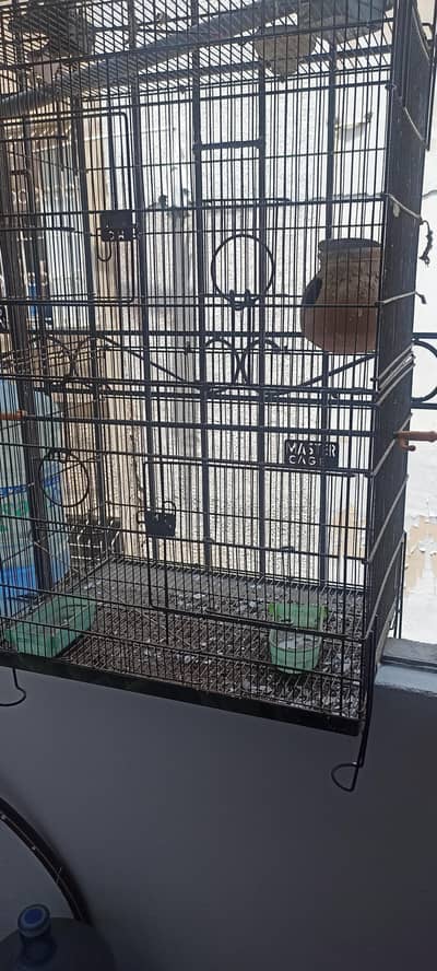 Cage big in size