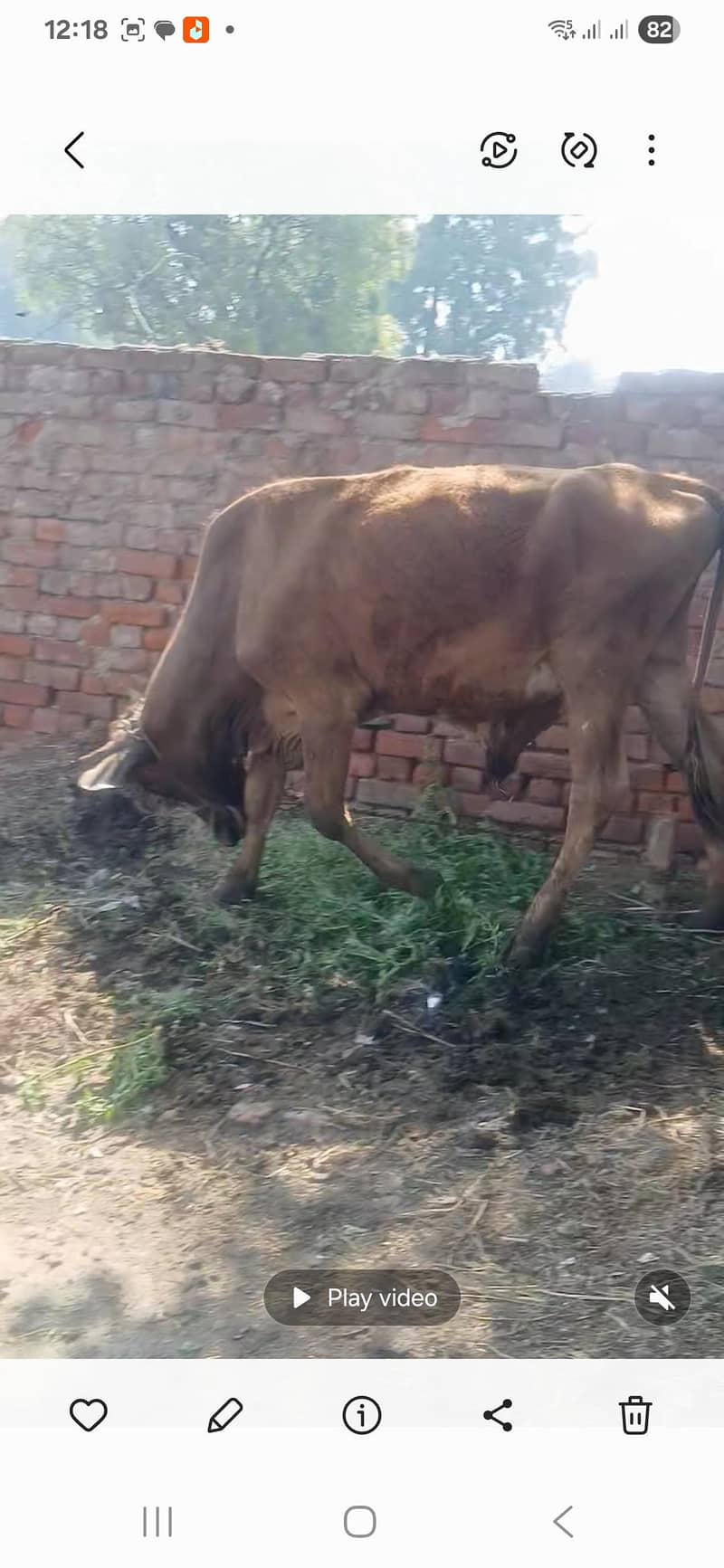03326595694 1