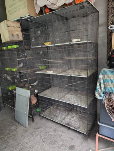8 Portion Cage In Multan