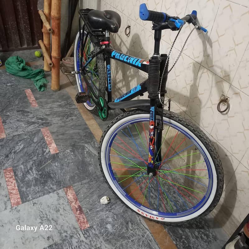 phoenix cycle 1